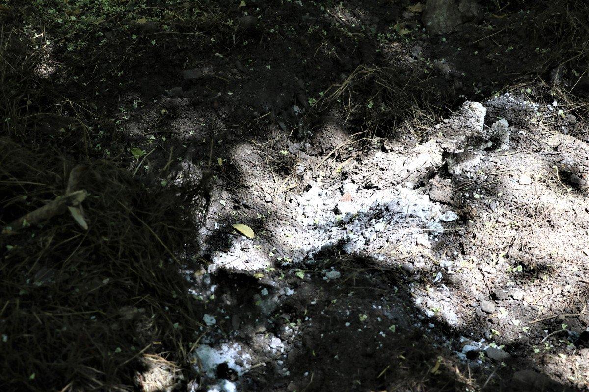 Ankara'da bahçesinde 10 köpek ölüsü bulundu