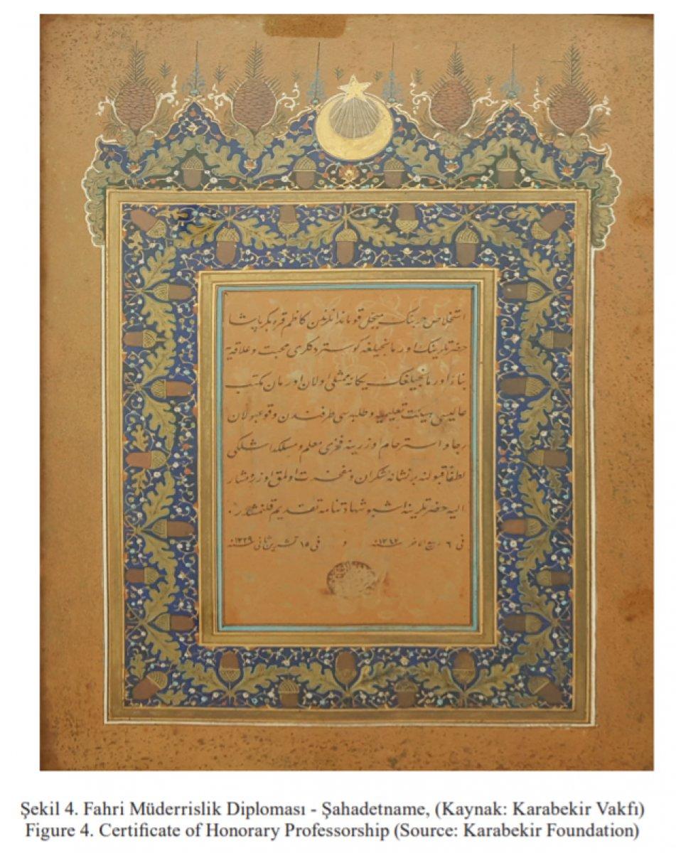 Vakanüvis yazdı: Ormanlar, barışta da savaşta da hayati önemde