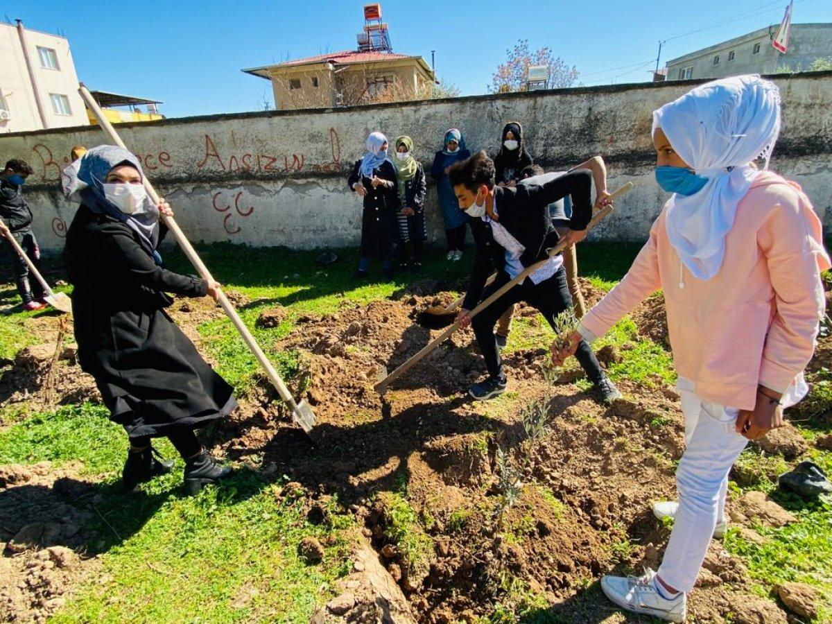 Fidanlar yangın bölgeleri için hazır