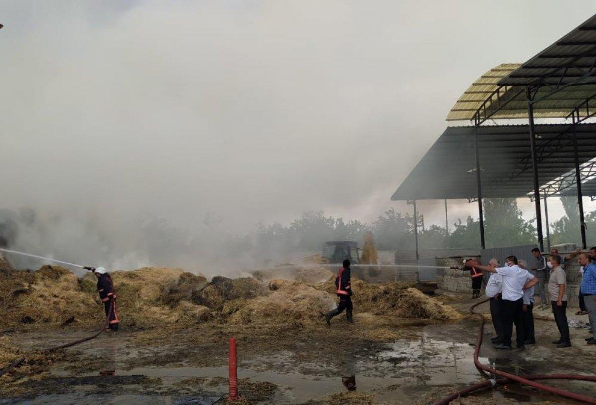 Malatya'da 100 ton saman yandı