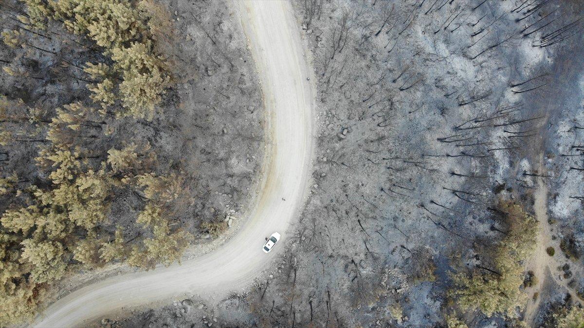 Manavgat yangınında zarar gören alanlar