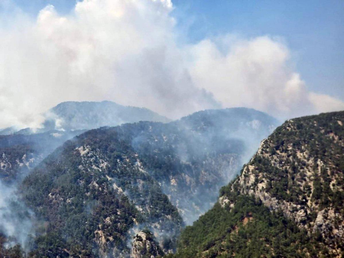 Köyceğiz yangınına müdahale sürüyor