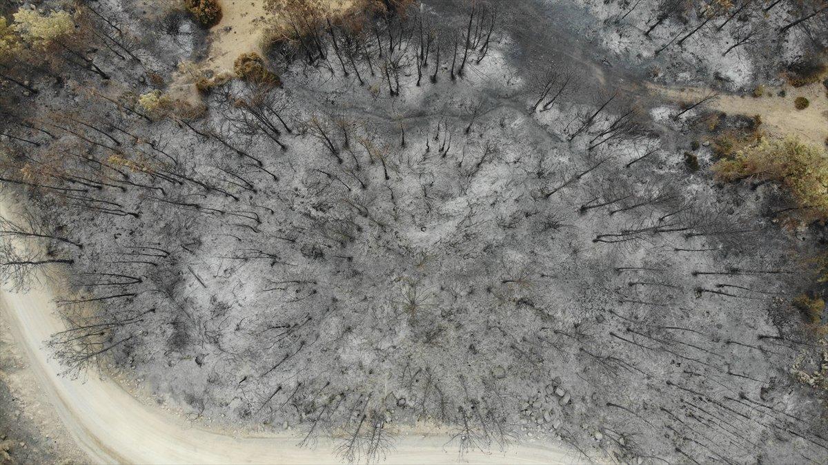 Manavgat yangınında zarar gören alanlar