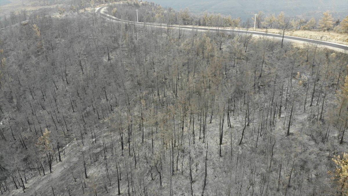 Manavgat yangınında zarar gören alanlar