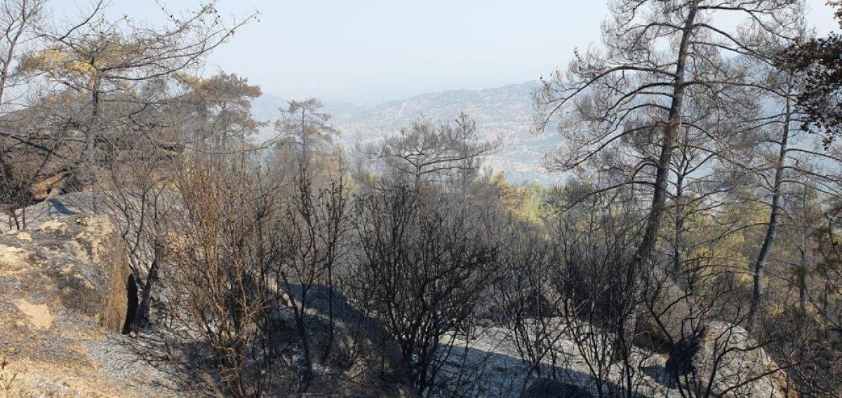 Çine'de yanan alanlar görüntülendi