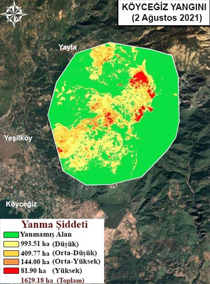 Orman yangınlarının etkili olduğu alanlar haritalandırıldı