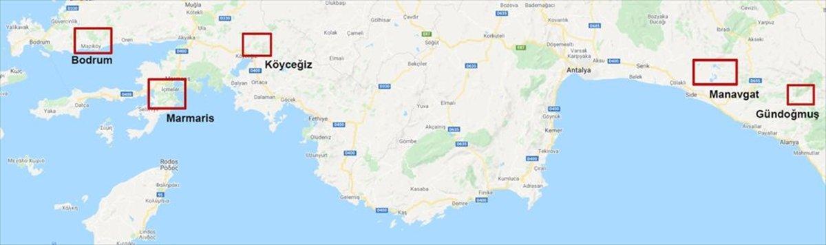 Orman yangınlarının etkili olduğu alanlar haritalandırıldı