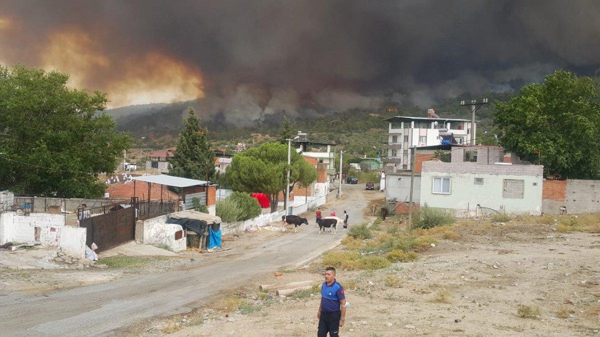 Çine'de çıkan orman yangını nedeniyle 6 mahalle boşaltıldı