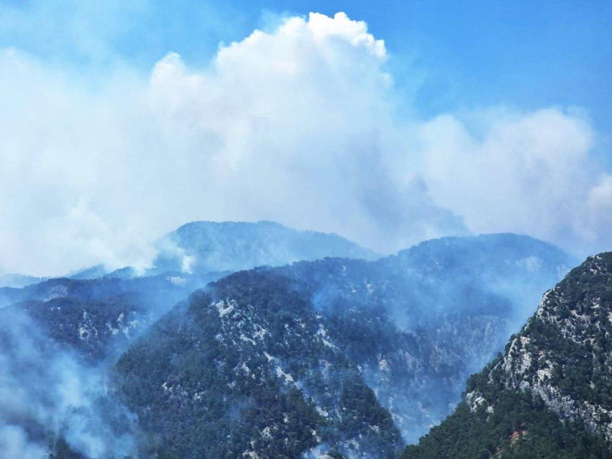 Köyceğiz yangınına müdahale sürüyor