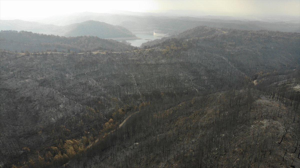 Manavgat yangınında zarar gören alanlar