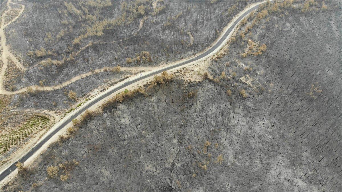 Manavgat yangınında zarar gören alanlar