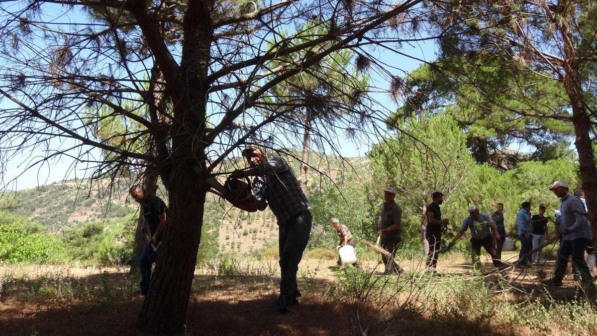 Aydınlılar yangınlara karşı ekip kurdu