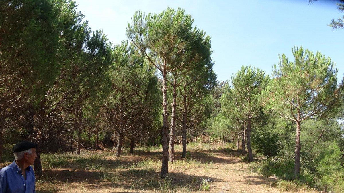 Aydınlılar yangınlara karşı ekip kurdu