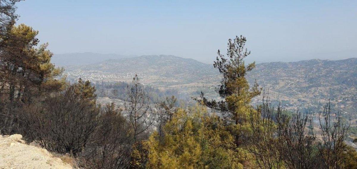 Çine'de yanan alanlar görüntülendi