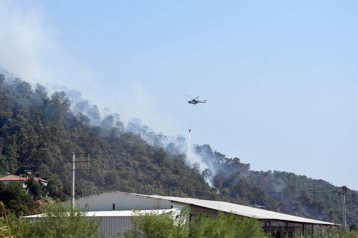 Dalaman'da orman yangını çıktı