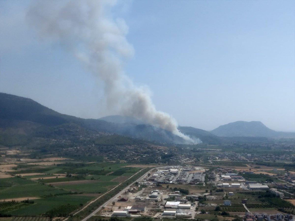 Dalaman'da orman yangını çıktı