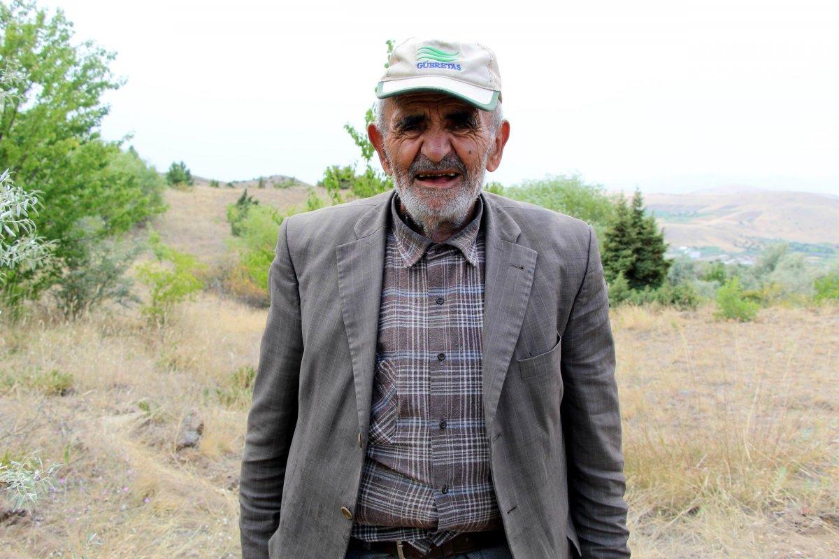 Nevşehir'de, 34 yıl boyunca her gün ağaç dikti