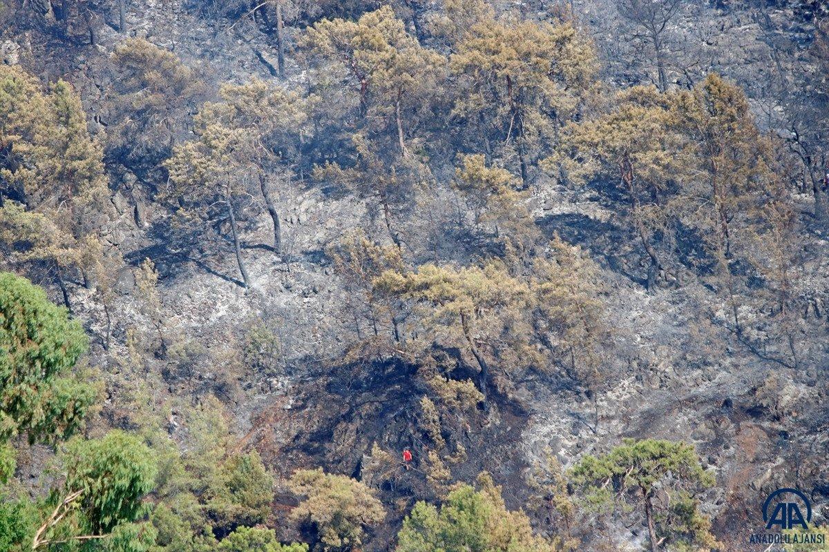 Dalaman'da orman yangını çıktı