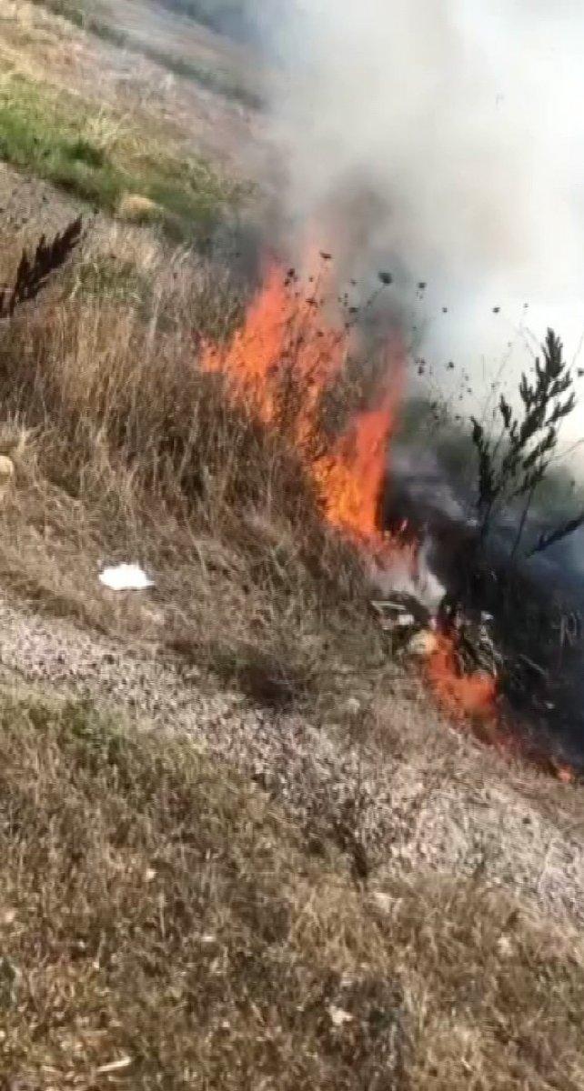 Bursa’da yol kenarındaki yangını sürücüler söndürdü