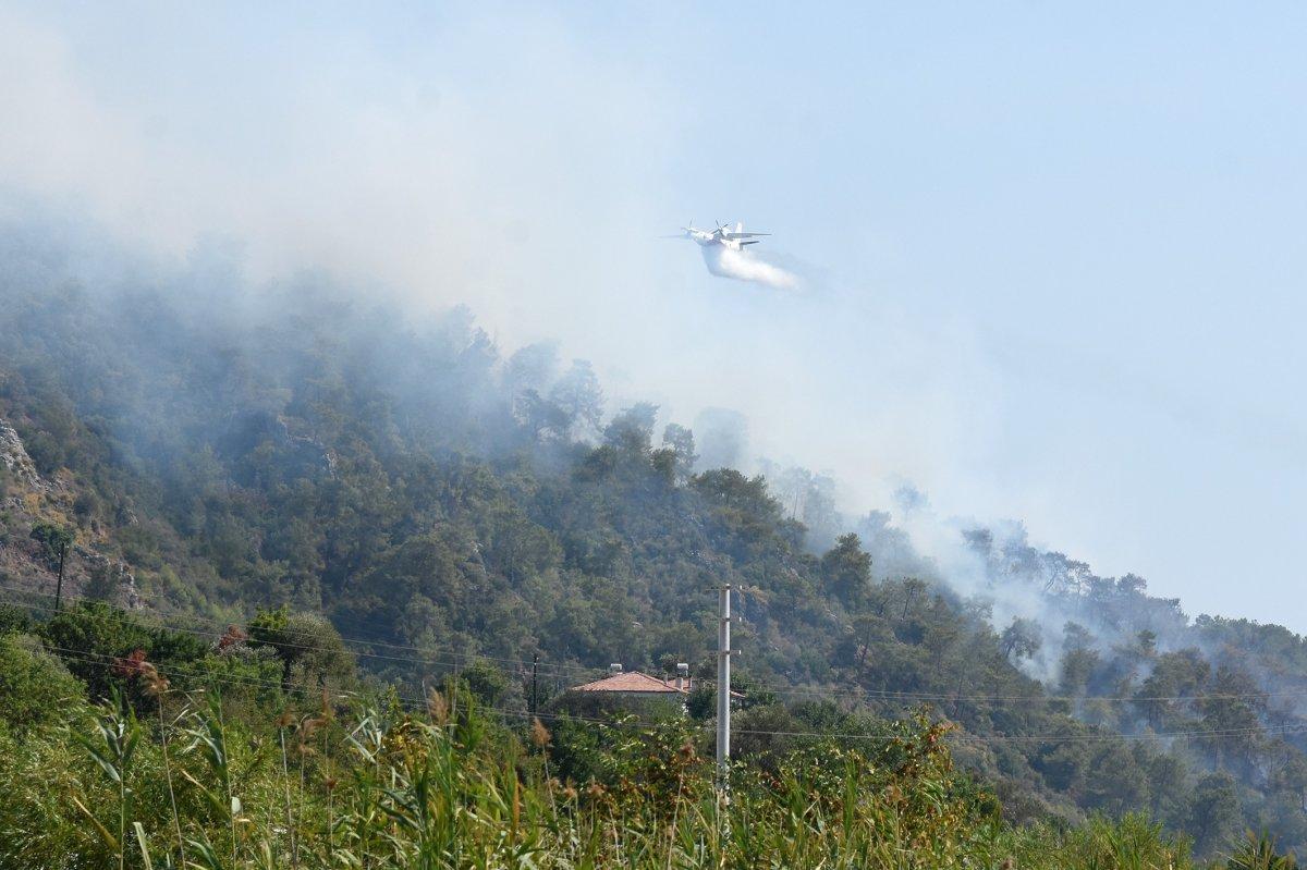 Dalaman'da orman yangını çıktı