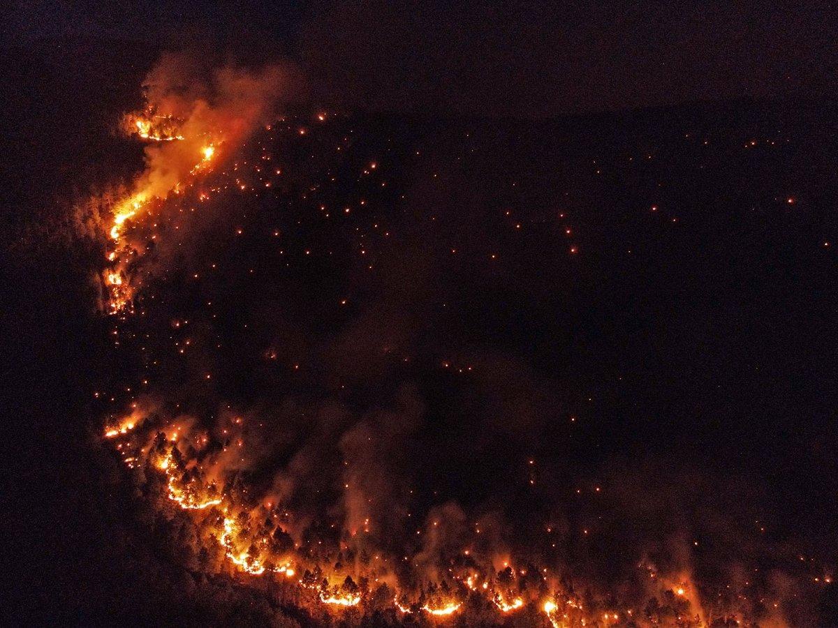 Yangınlara su taşıyan İHH, şimdi de yaraları saracak