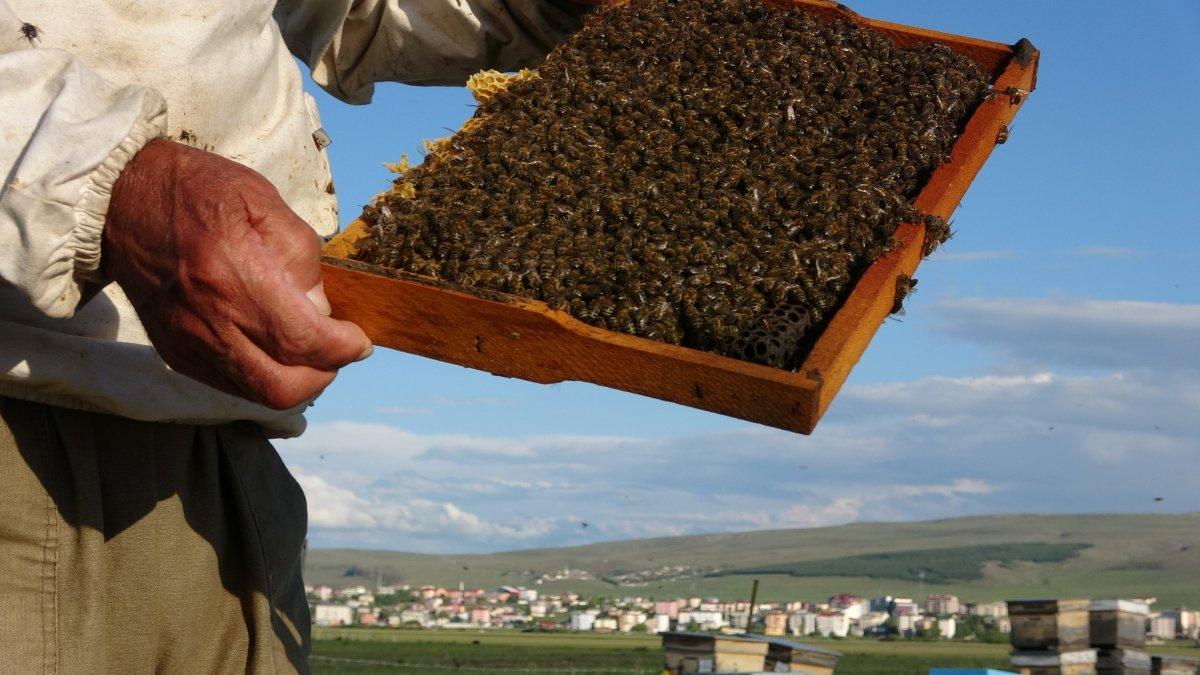 Yangından zarar gören arıcılar destek bekliyor