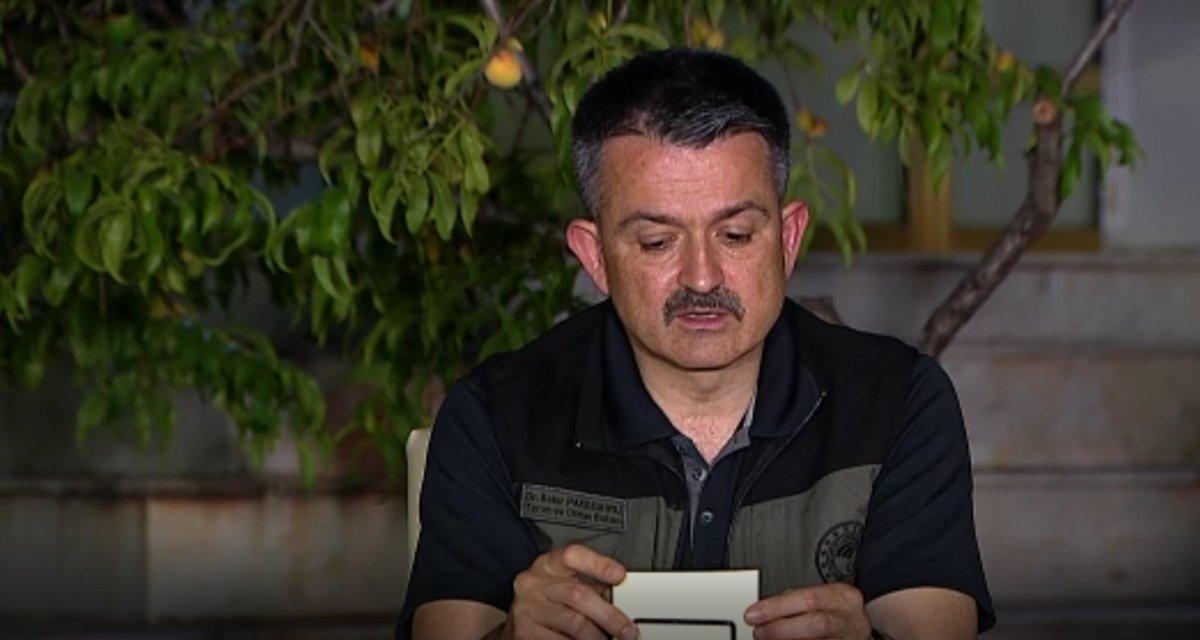 Bekir Pakdemirli yangınlarla ilgili son durumu açıkladı