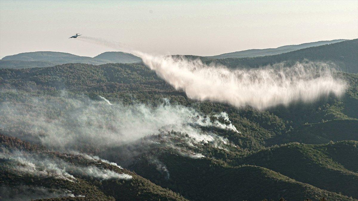 Bekir Pakdemirli: Milas ve Köyceğiz dışında tüm yangınlar kontrol altında