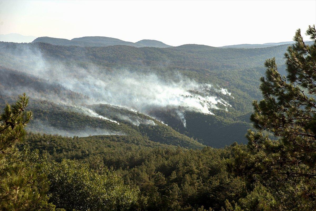 Bekir Pakdemirli: Milas ve Köyceğiz dışında tüm yangınlar kontrol altında
