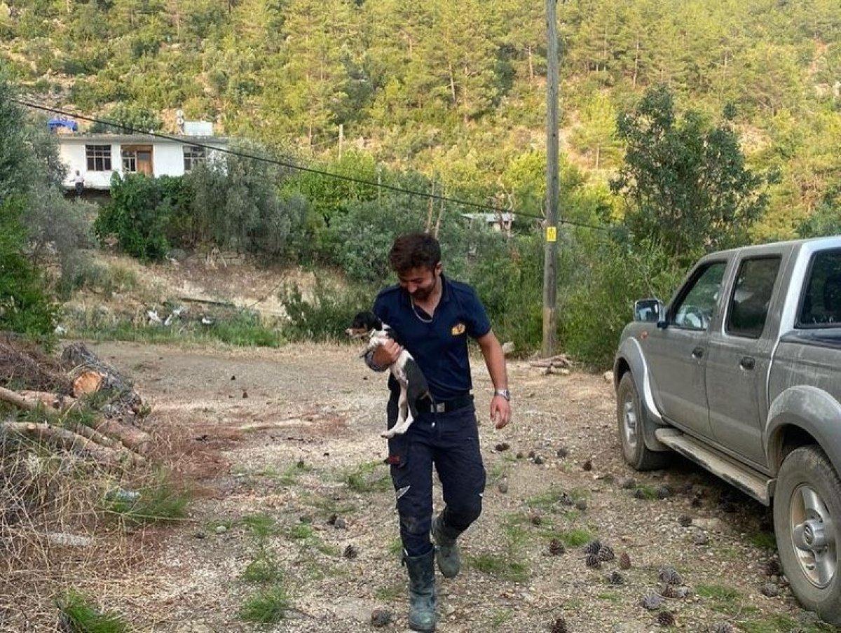 Manavgat'ta görev alan Bolulu itfaiyeciler evlerine döndü