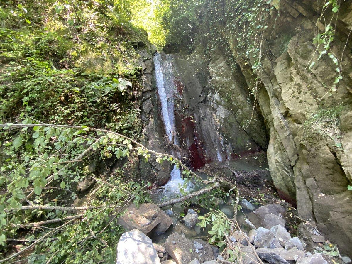 Bartın’da keşfedilen şelale, turizme kazandırılacak