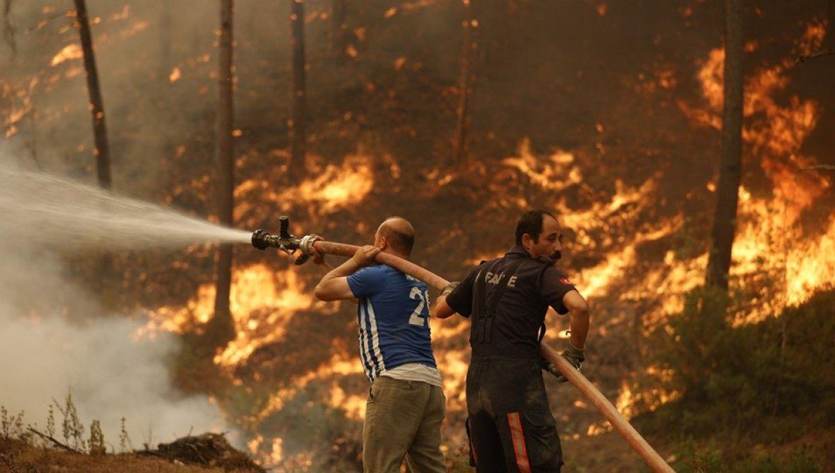 Orman yangını gönüllüsü nasıl olunur? e-Devlet orman yangınına müdahale gönüllüsü başvuru ekranı