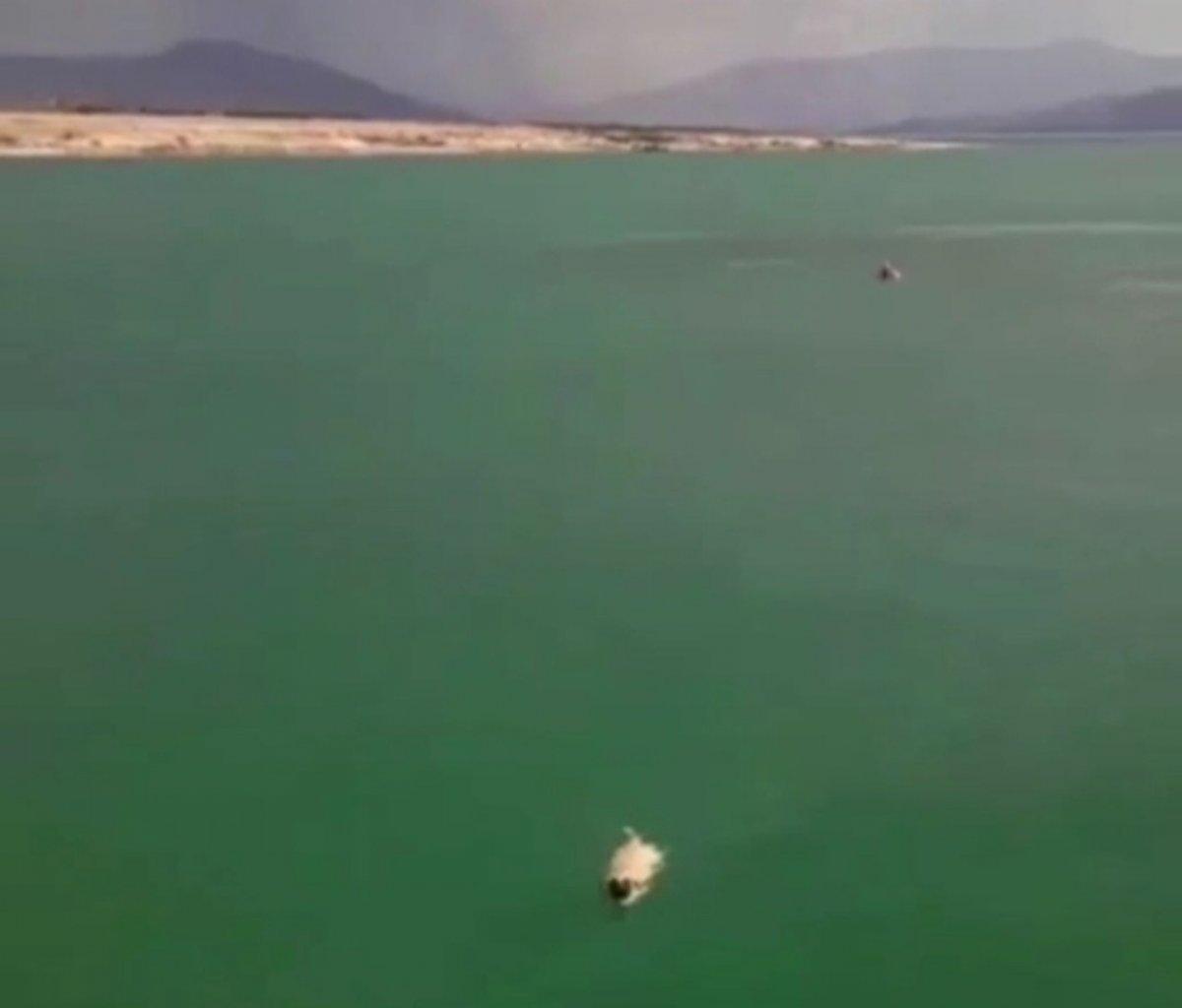 Elazığ’da köpeği kurtarmak için girdiği gölde mahsur kaldı