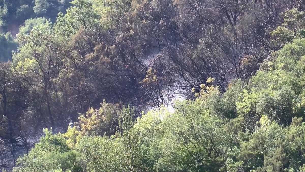 Sarıyer'de orman yangını