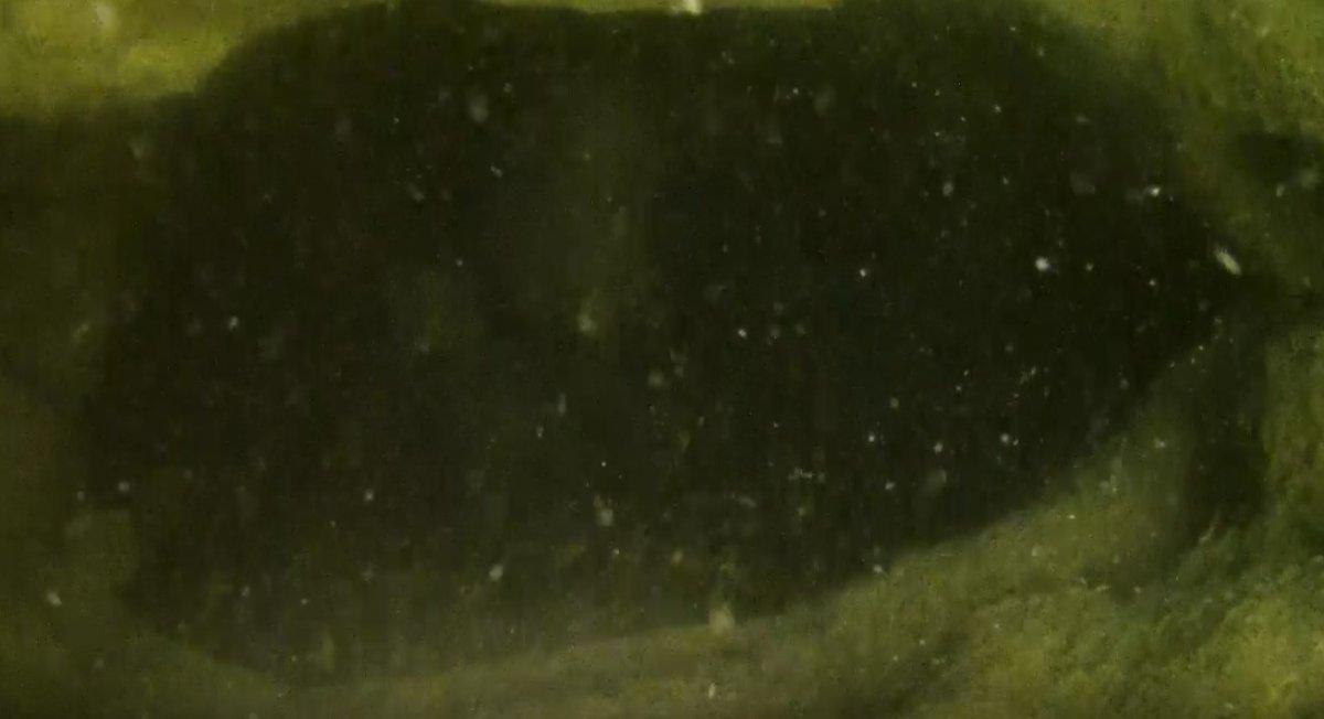 Van Gölü’nde, odaları ve penceresi olan su altı mağarası keşfedildi