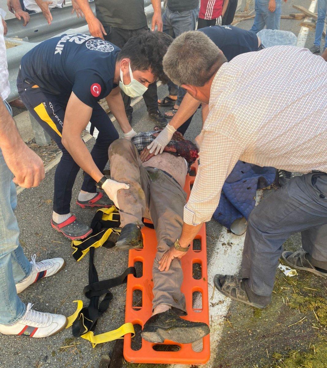 Iğdır’da koyun yüklü kamyonet takla attı, 20 koyun can verdi