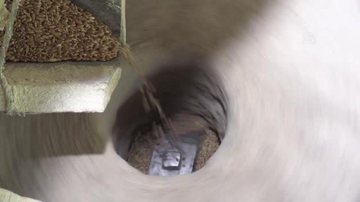 Ata tohumunun peşinde köy köy geziyorlar