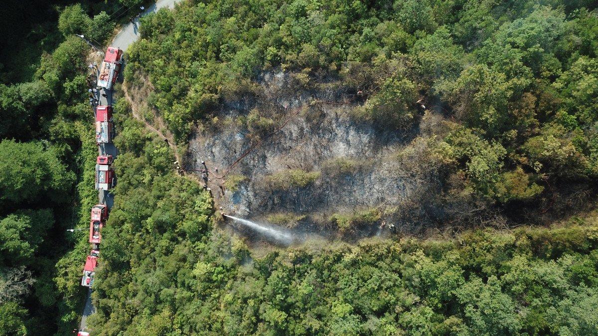 Sarıyer'de orman yangını