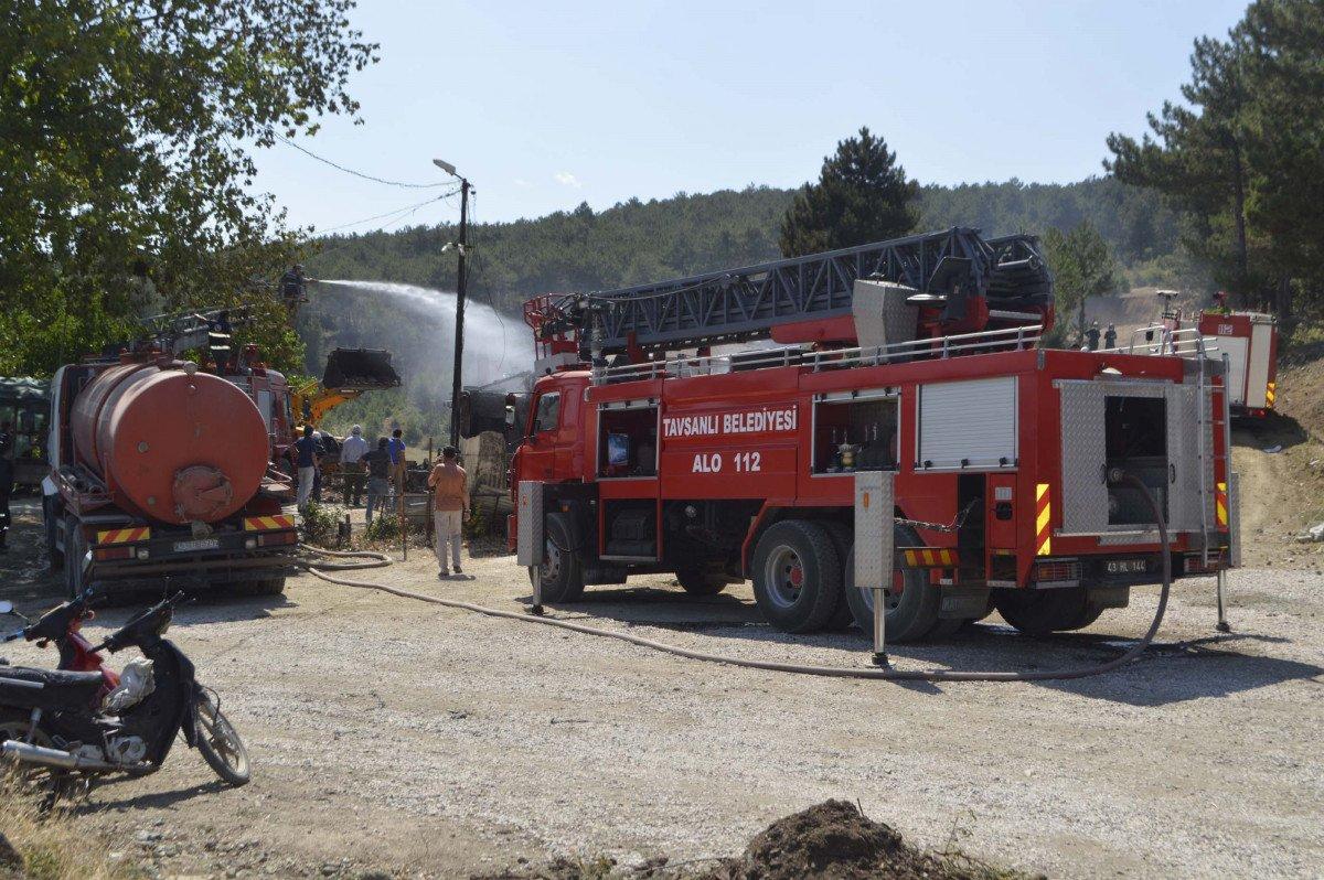 Sarıyer'de orman yangını