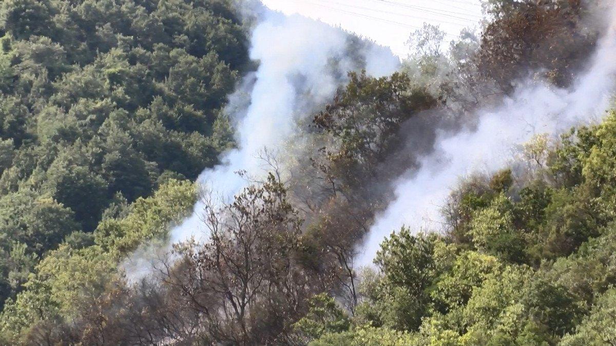 Sarıyer'de orman yangını