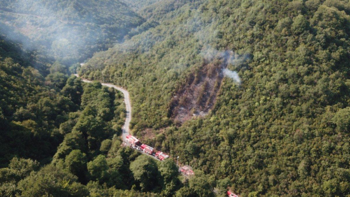 Sarıyer'de orman yangını