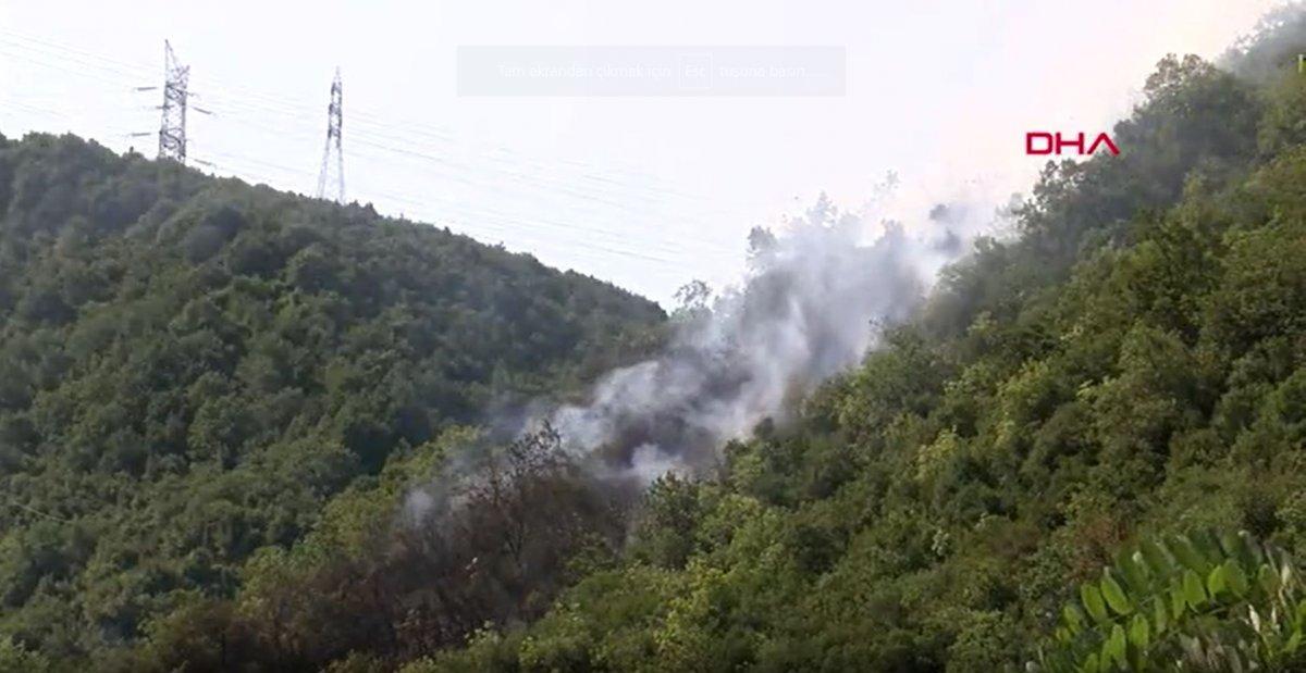 Sarıyer'de orman yangını