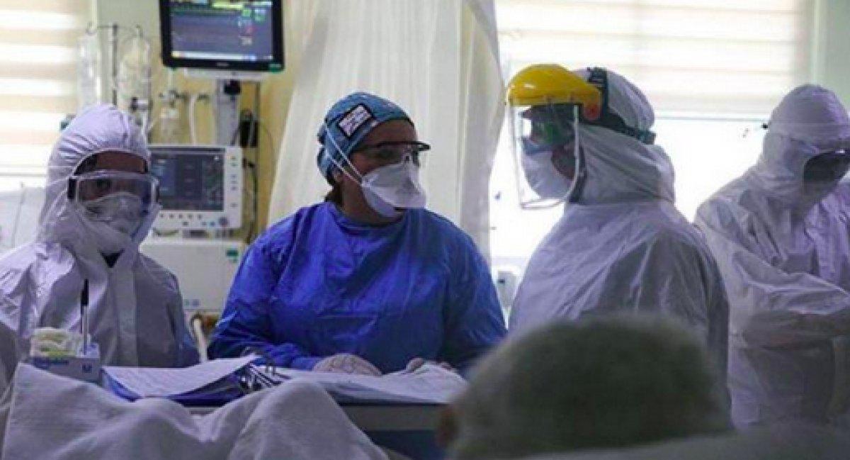 Marburg Humması virüsü Gine'de görüldü