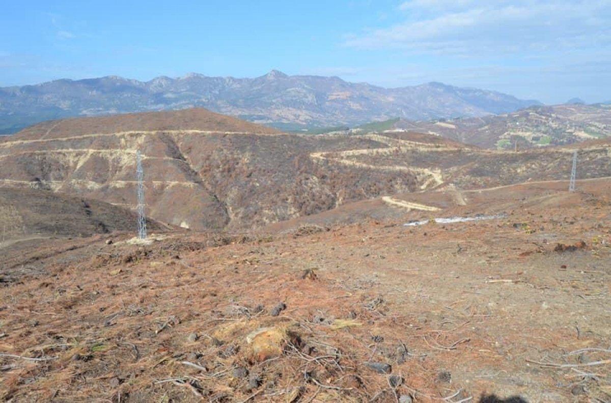 Adana'da 208 futbol sahası büyüklüğündeki alan, 5 ayda yeşillendirildi