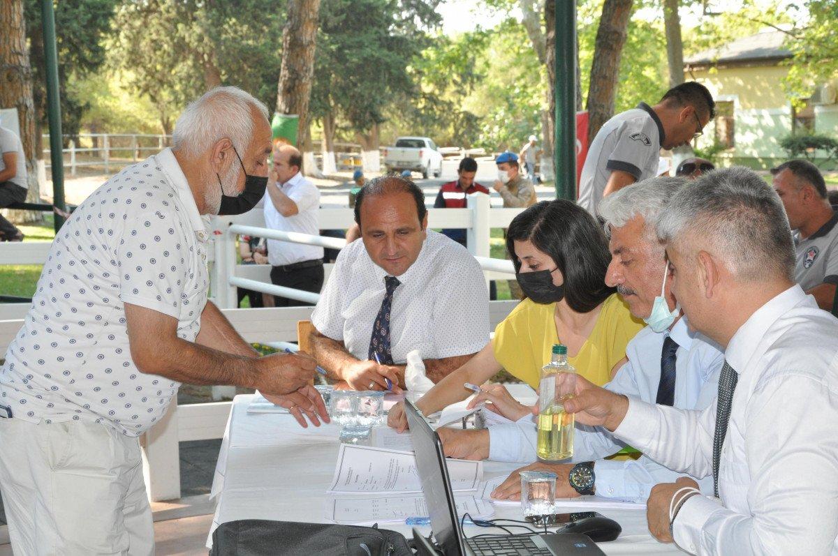 68 safkan Arap tayı, 8,5 milyon TL'ye satıldı