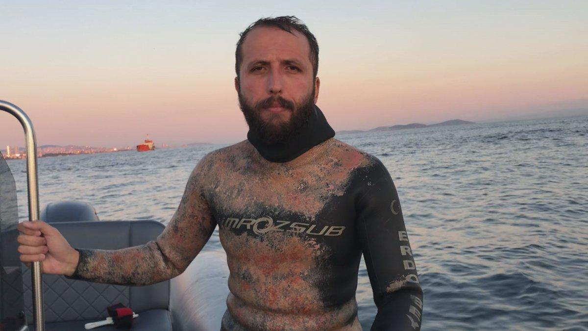 İstanbul'da su altında yunus görüntülendi