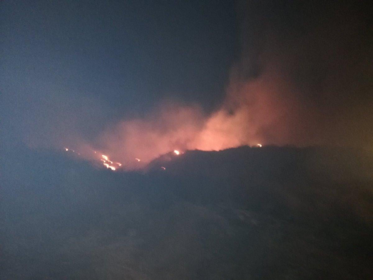 Çeşme'de çıkan yangın kontrol altına alındı