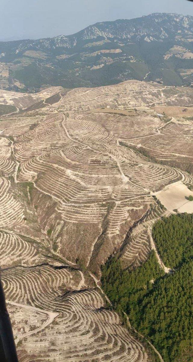 Adana'da 208 futbol sahası büyüklüğündeki alan, 5 ayda yeşillendirildi