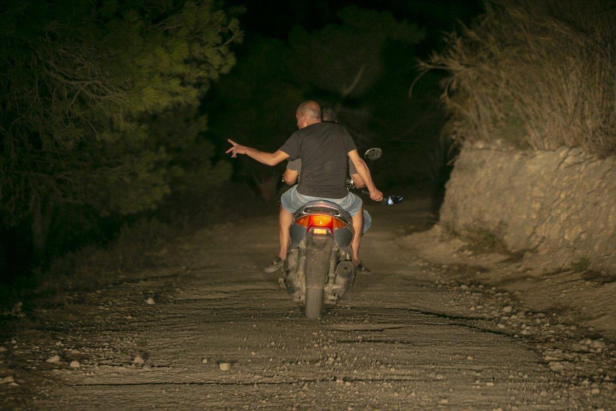 Tunus'ta orman yangını