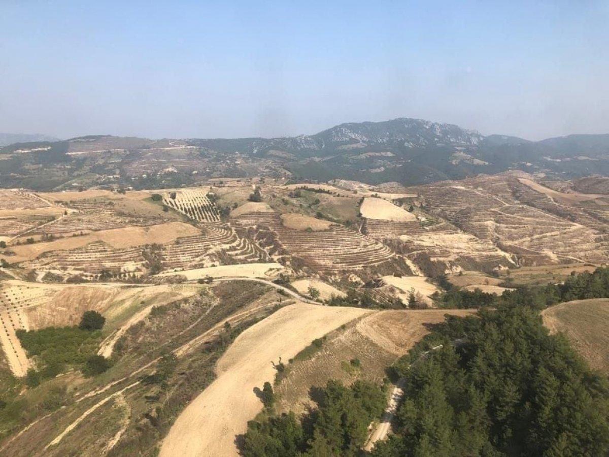 Adana'da 208 futbol sahası büyüklüğündeki alan, 5 ayda yeşillendirildi